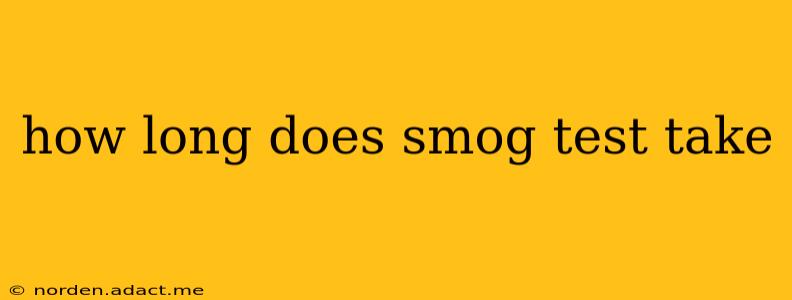 how long does smog test take