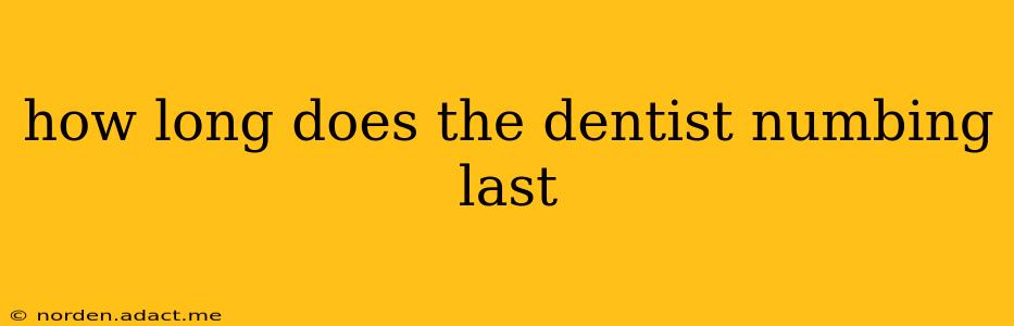 how long does the dentist numbing last
