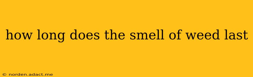 how long does the smell of weed last