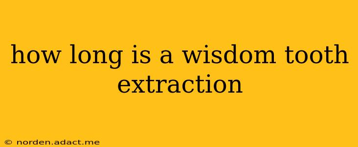 how long is a wisdom tooth extraction