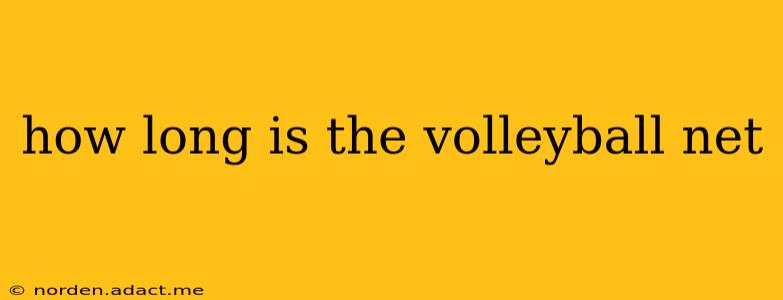 how long is the volleyball net