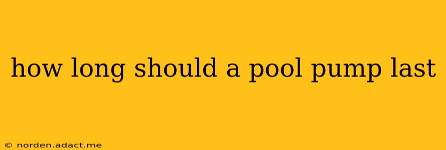 how long should a pool pump last