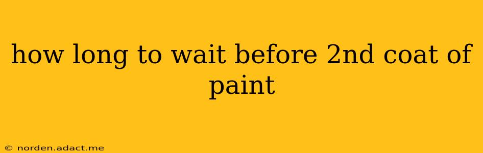 how long to wait before 2nd coat of paint