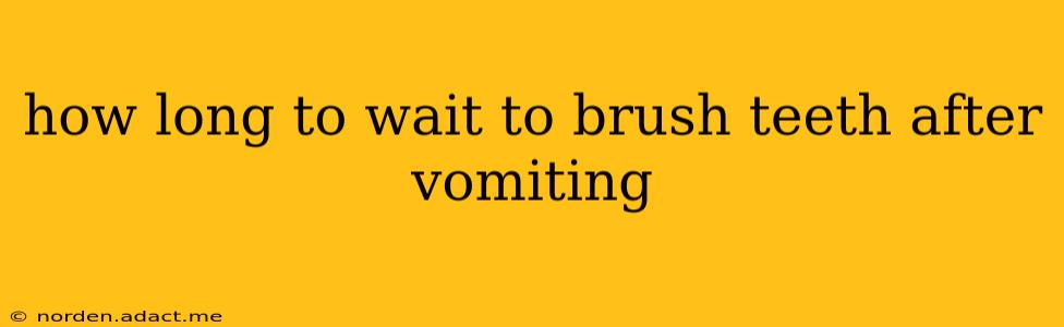 how long to wait to brush teeth after vomiting