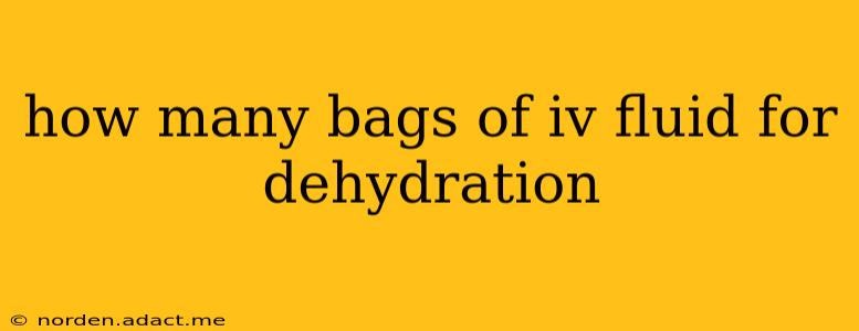 how many bags of iv fluid for dehydration