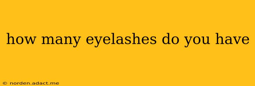 how many eyelashes do you have