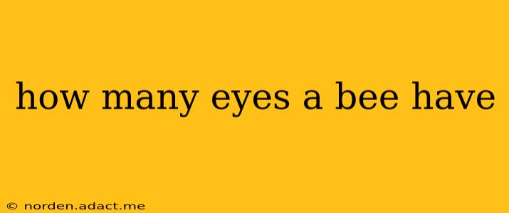 how many eyes a bee have