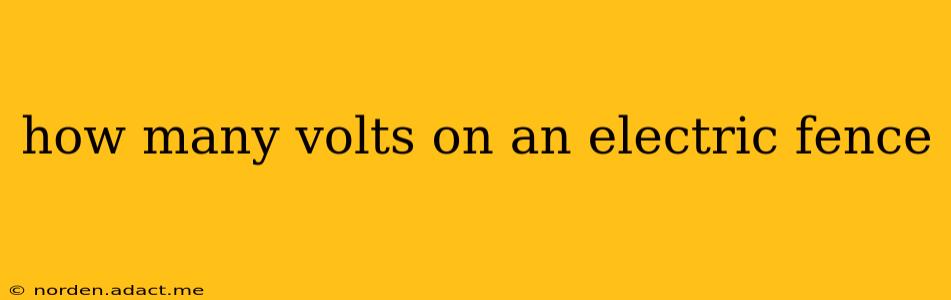 how many volts on an electric fence