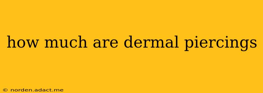 how much are dermal piercings