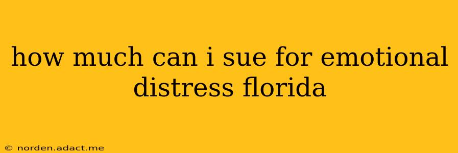 how much can i sue for emotional distress florida