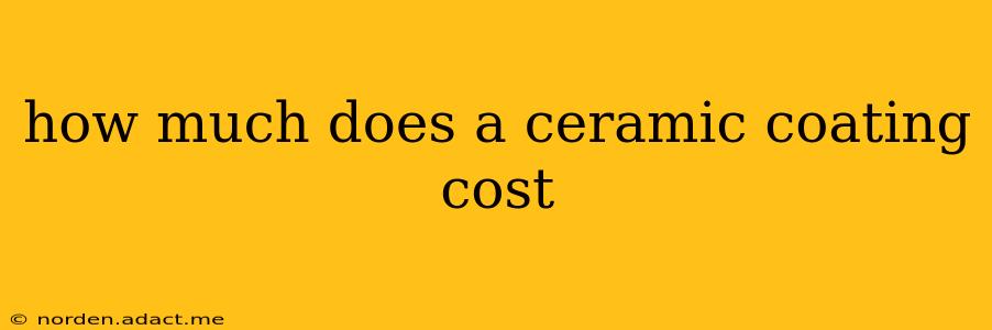 how much does a ceramic coating cost