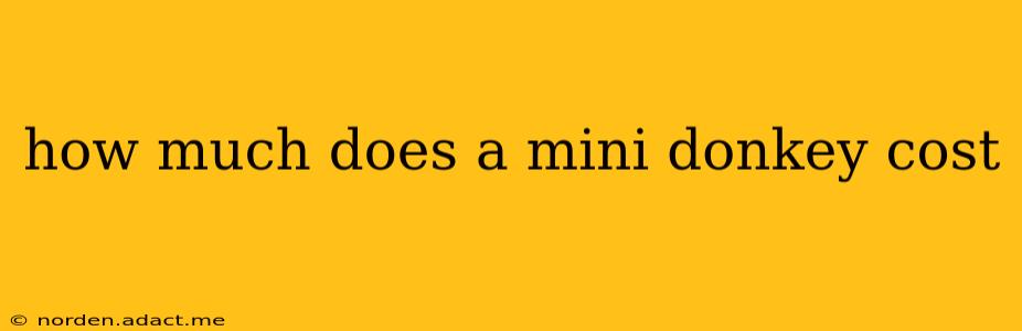 how much does a mini donkey cost