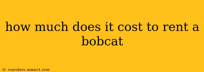 how much does it cost to rent a bobcat