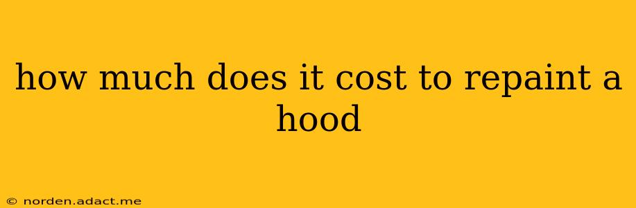 how much does it cost to repaint a hood