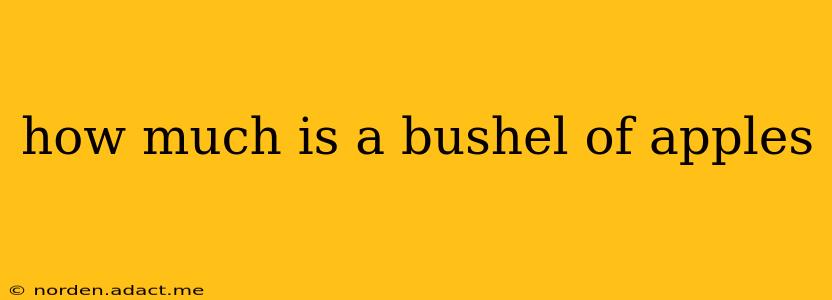 how much is a bushel of apples