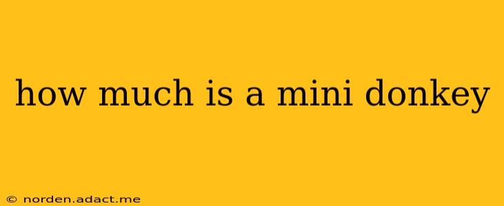 how much is a mini donkey