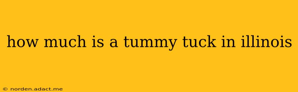 how much is a tummy tuck in illinois