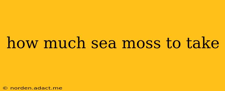 how much sea moss to take