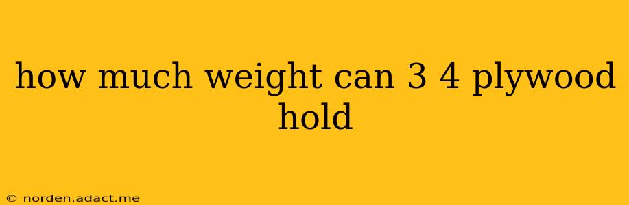 how much weight can 3 4 plywood hold