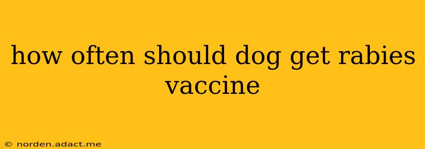 how often should dog get rabies vaccine