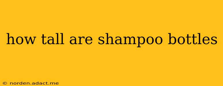 how tall are shampoo bottles