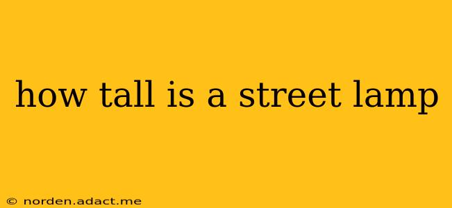 how tall is a street lamp
