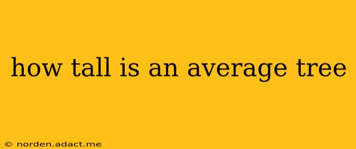 how tall is an average tree