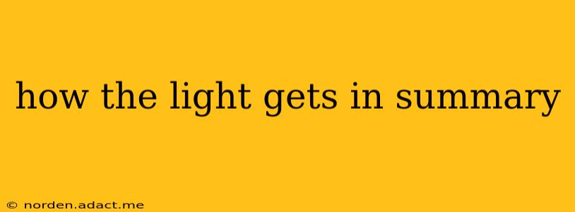 how the light gets in summary