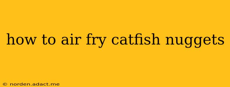 how to air fry catfish nuggets