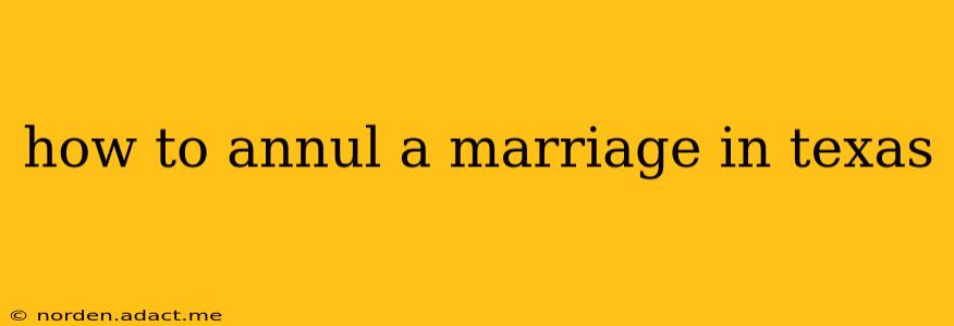 how to annul a marriage in texas
