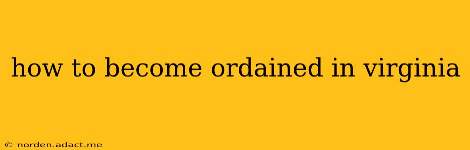 how to become ordained in virginia