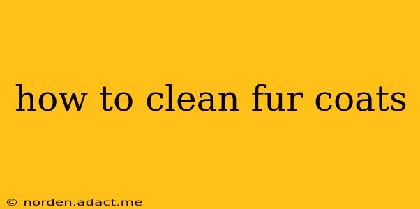 how to clean fur coats