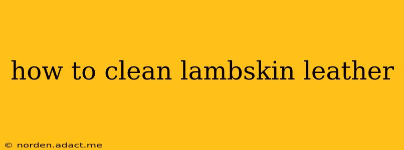how to clean lambskin leather
