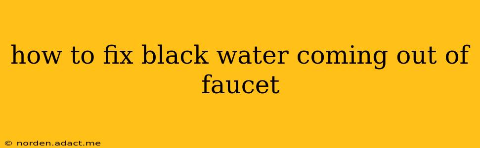 how to fix black water coming out of faucet