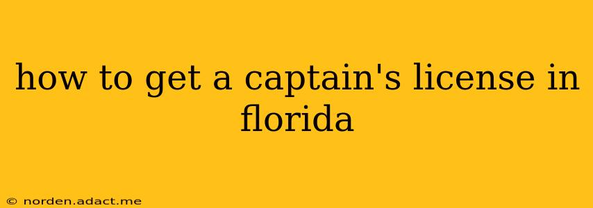 how to get a captain's license in florida