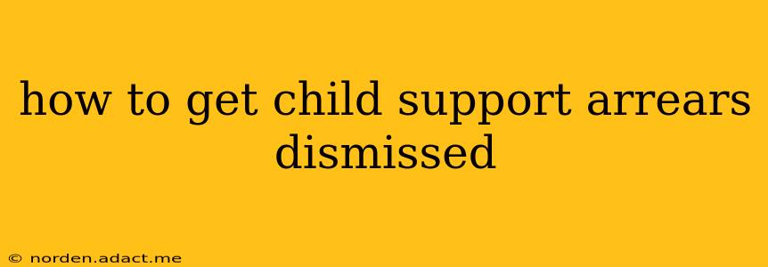 how to get child support arrears dismissed