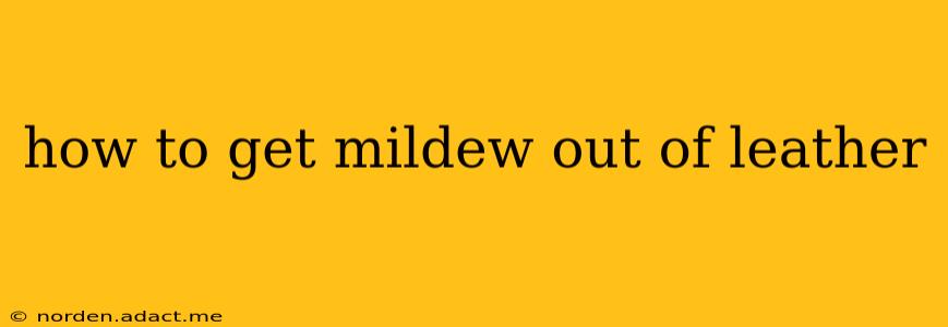 how to get mildew out of leather