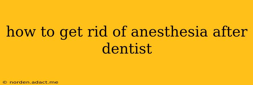 how to get rid of anesthesia after dentist