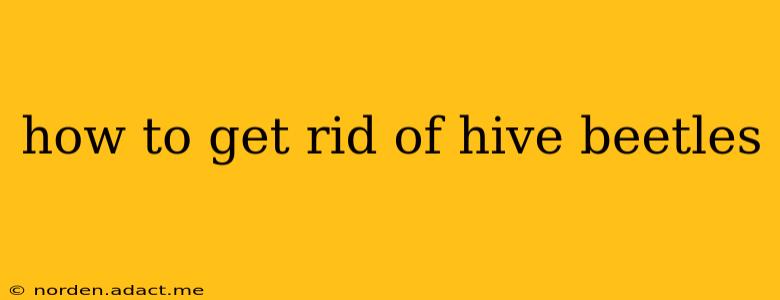 how to get rid of hive beetles
