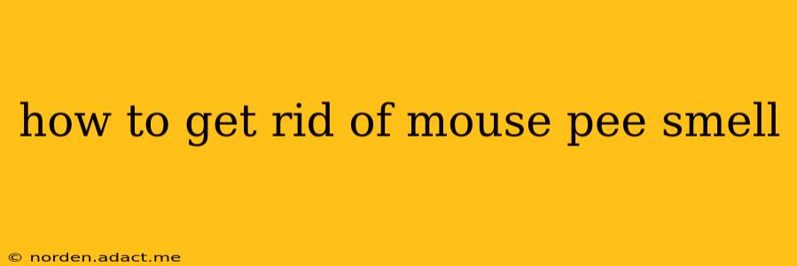 how to get rid of mouse pee smell