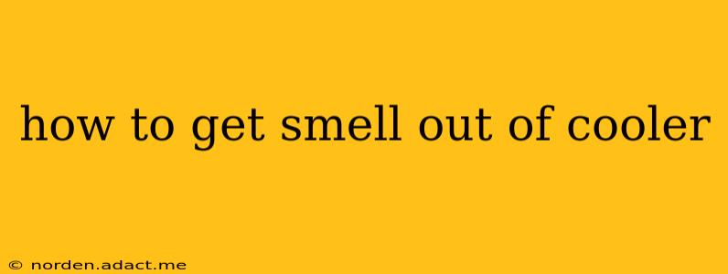 how to get smell out of cooler