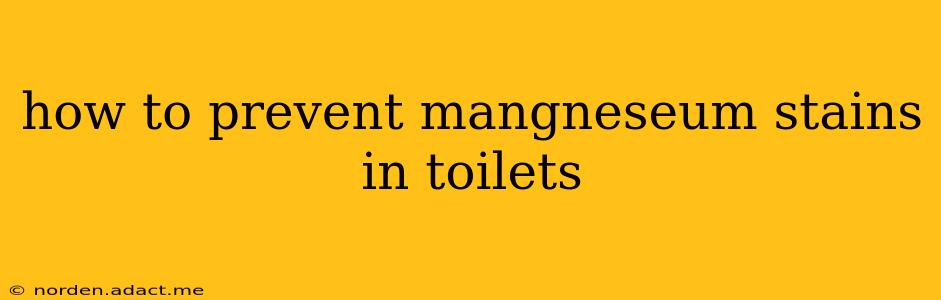 how to prevent mangneseum stains in toilets