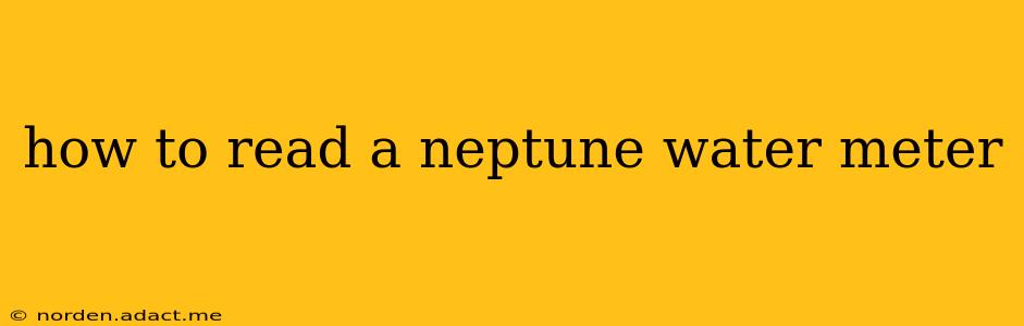 how to read a neptune water meter
