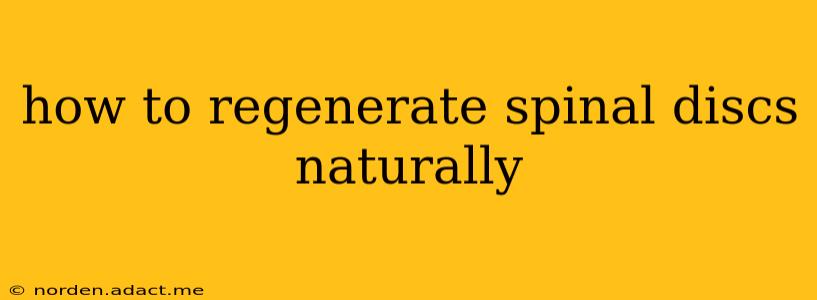how to regenerate spinal discs naturally