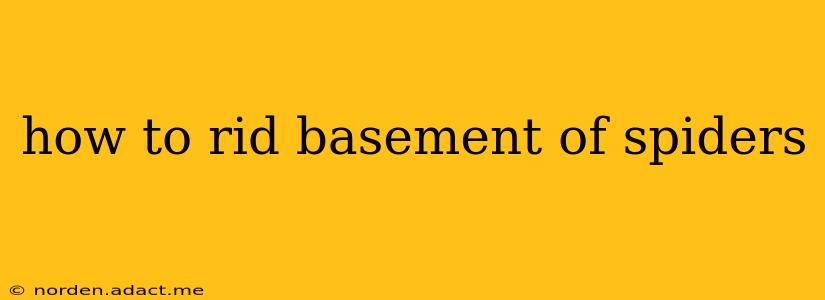 how to rid basement of spiders