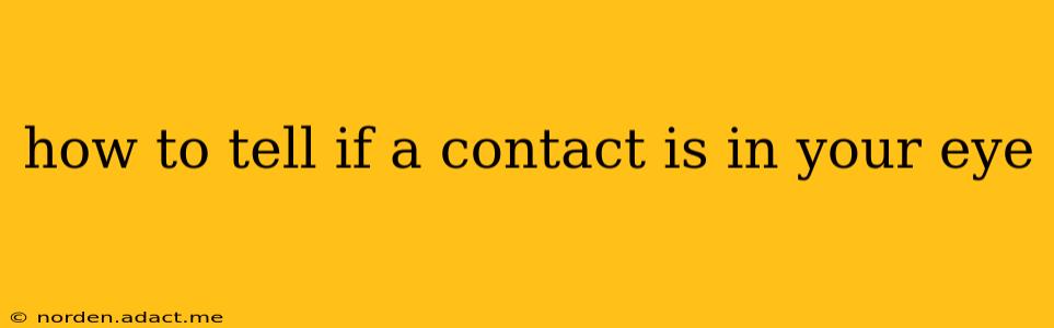 how to tell if a contact is in your eye