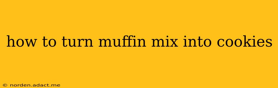 how to turn muffin mix into cookies