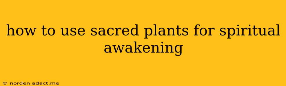 how to use sacred plants for spiritual awakening