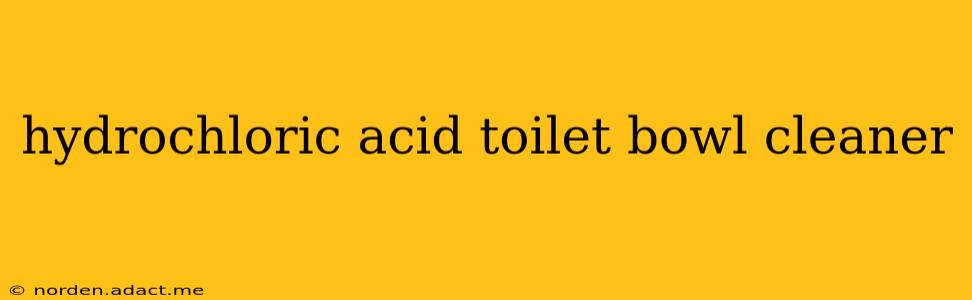 hydrochloric acid toilet bowl cleaner