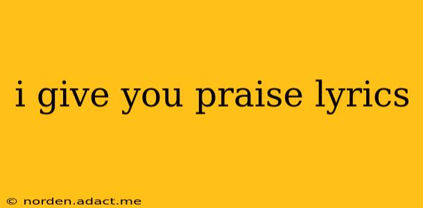 i give you praise lyrics